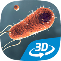 Bacteria VR 3D