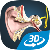 The mechanism of hearing VR 3D