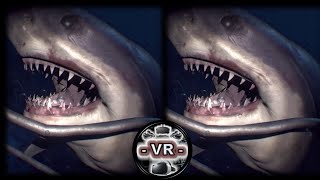 VR VIDEOS 3D SBS Underwater for VR BOX 3D not 360 VR