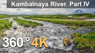 360°, Kambalnaya River. Part IV. 4К aerial video