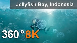 360 video, Jellyfish Bay, Raja Ampat, Indonesia, 8K underwater video
