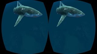 Diving VR Google Cardboard Video 3D SBS Virtual Reality Video