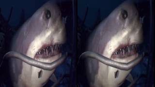 Ocean Descent VR Google Cardboard Video 3D SBS Virtual Reality Video