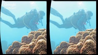 3D Ocean Explorer | VR  Google Carboard , VR Box , Gear VR , 3D SBS